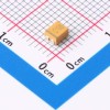 16V ±10% 15μF