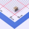 100uF ±10% 6.3V