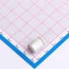 100uF ±20% 100V