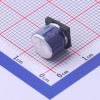 10uF ±20% 160V