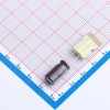 100uF ±20% 63V