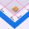 10V ±10% 68μF