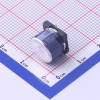 33uF ±20% 100V