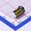 10uF ±20% 100V