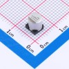 33uF ±20% 25V
