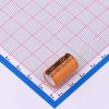 22uF ±20% 450V