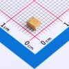 100uF ±10% 6.3V