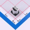 33uF ±20% 63V