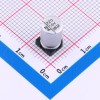 220uF ±20% 16V 涂膜