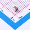10uF ±10% 63V