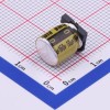 10uF ±20% 160V