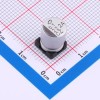 22uF ±20% 100V