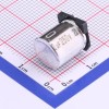 22uF ±20% 250V