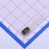 100uF -10%~+20% 10V 黑