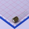 100uF ±20% 63V