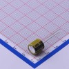 18uF ±20% 160V
