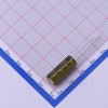 100uF ±20% 100V