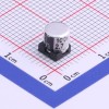2.7uF ±20% 100V