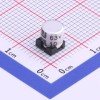 10uF ±20% 63V