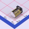 22uF ±20% 100V