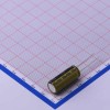 100uF ±20% 160V