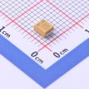 100uF ±10% 10V